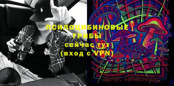 стафф Снежинск