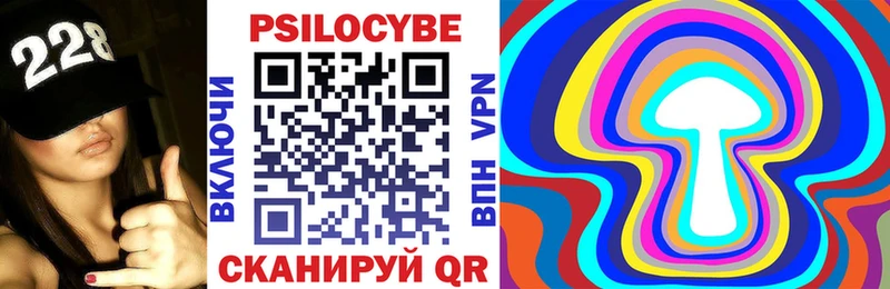 Галлюциногенные грибы Psilocybe  где купить наркоту  Омутнинск 